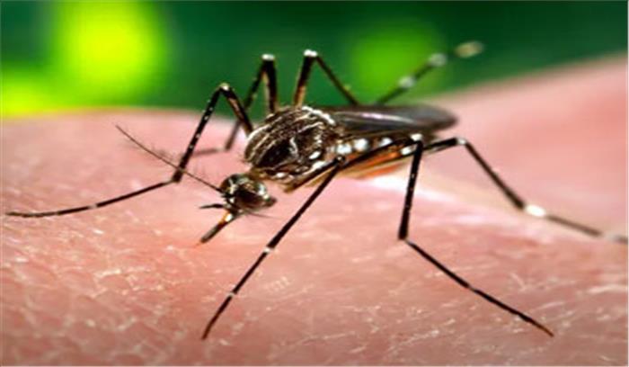 जम्मू-कश्मीर के सांबा में डेंगू की चपेट में आए बीआरओ के 15 जवान