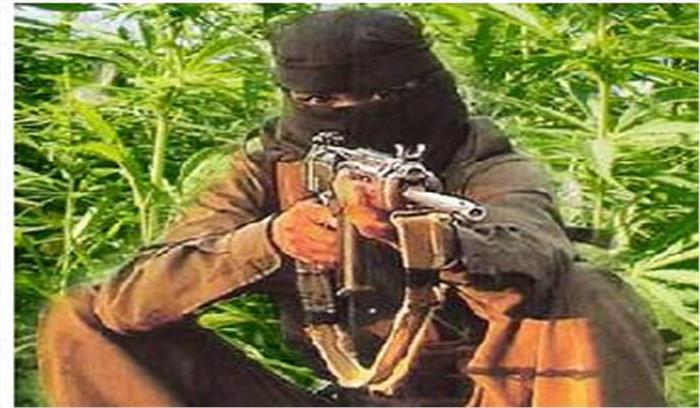 जमुई से हथियारों के जखीरे के साथ नक्सली गिरफ्तार 