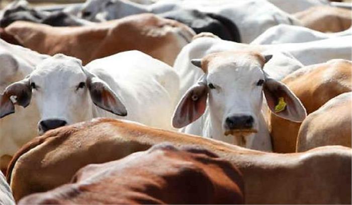 जौनपुर: जिला प्रशासन ने 3 और बूचड़खानों को बंद किया 