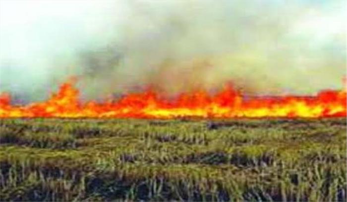 फसलो के अवशिष्ट न जलाए वरना होगी कार्रवाई फसलो के अवशिष्ट न जलाए वरना होगी कार्रवाई