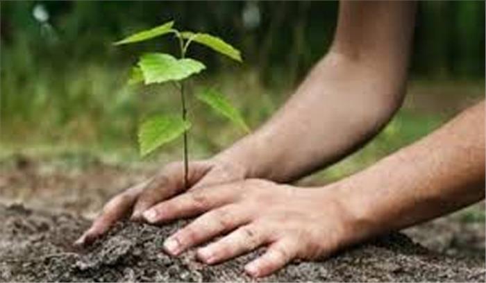 झारखंड में 4 अधिकारियों को सजा मिली 100-100 पौधे लगाने की 