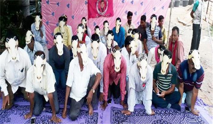 गौ हत्या के विरोध में जोगी कांग्रेस ने गाय का मुखौटा पहनकर किया प्रदर्शन