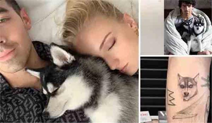 पालतू कुत्ते की याद में जो और सोफी ने बनवाया टैटू