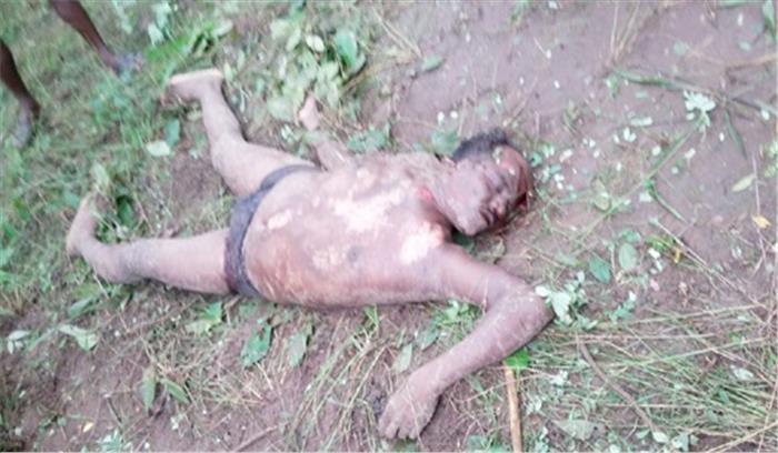 जंगल में मशरूम खोजने गए युवक को हाथी ने कुचला