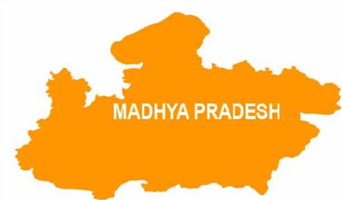 होशंगाबाद में जंगल में सड़ी प्याज फेंकने से जानवरों में बीमारी का खतरा