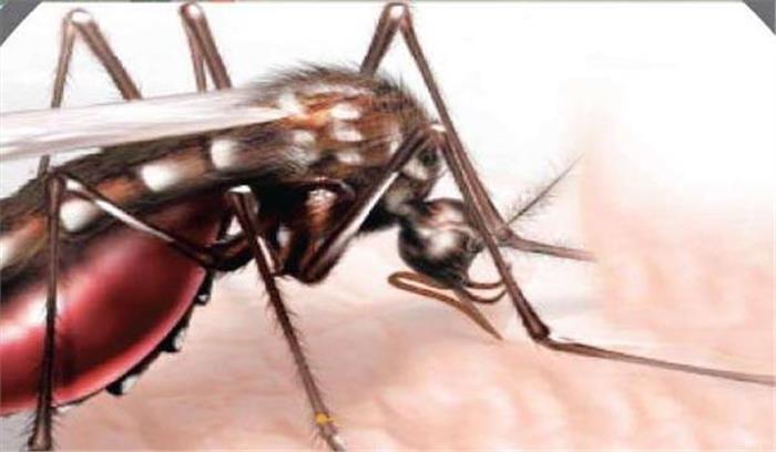 पाकिस्तान में डेंगू की चपेट में आए 235 चीनी कामगार