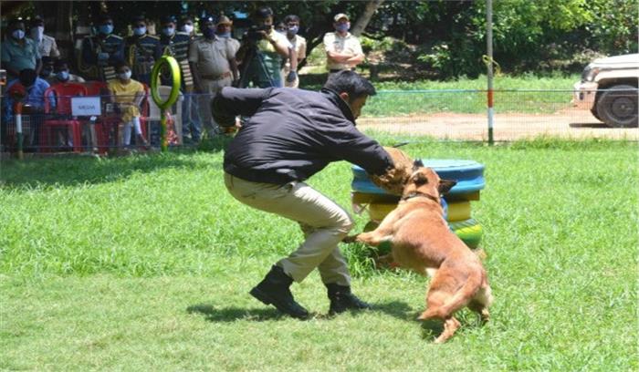 कर्नाटक डॉग स्क्वायड में ढाई करोड़ रुपये में 50 कुत्ते होंगे शामिल