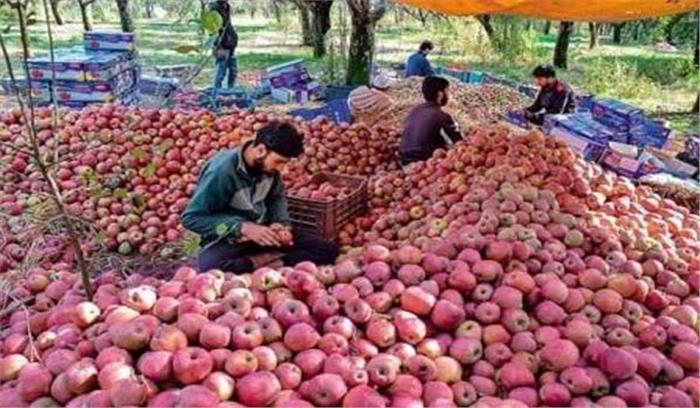कश्मीर में सेब उत्पादकों के खातों में सीधे ट्रांसफर होंगे रुपये