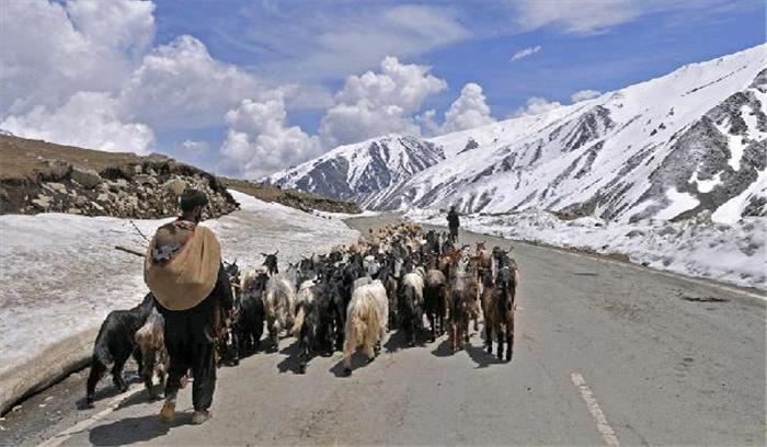 कश्मीर के बकरवालों की जिंदगी दृढ़ संकल्प की एक बेमिसाल गाथा