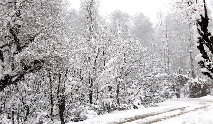 कश्मीर घाटी में 23 जनवरी तक भारी  बर्फबारी शुरू होने के आसार