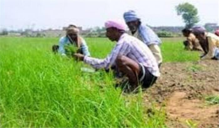 केरल में बाढ़ प्रभावित किसानों को मुफ्त बीज देगी सरकार