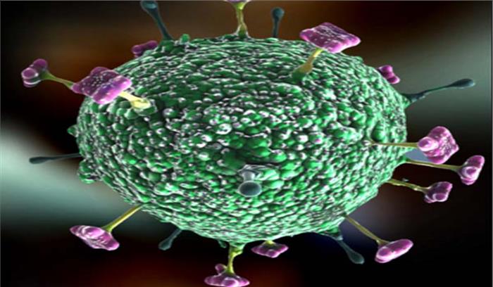 केरल: निपाह वायरस से मरने वालों की संख्या बढ़कर सात हुई केरल: निपाह वायरस से मरने वालों की संख्या बढ़कर सात हुई