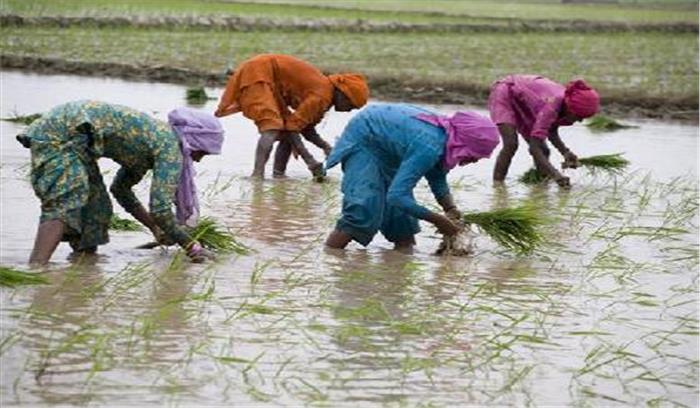 109 लाख हेक्टेयर से अधिक में खरीफ की बोनी
