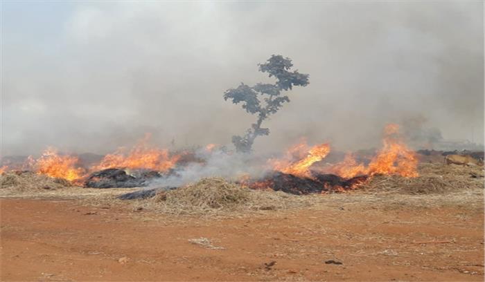 नर्सरी में जलाए जा रहे फसल के अवशेष