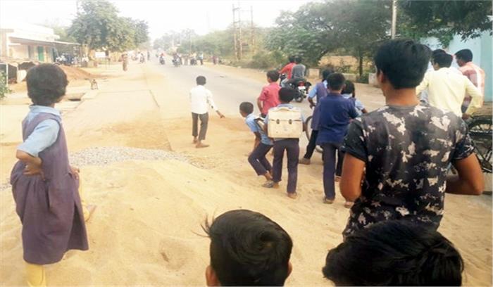 सड़क हादसे में बंदर की मौत