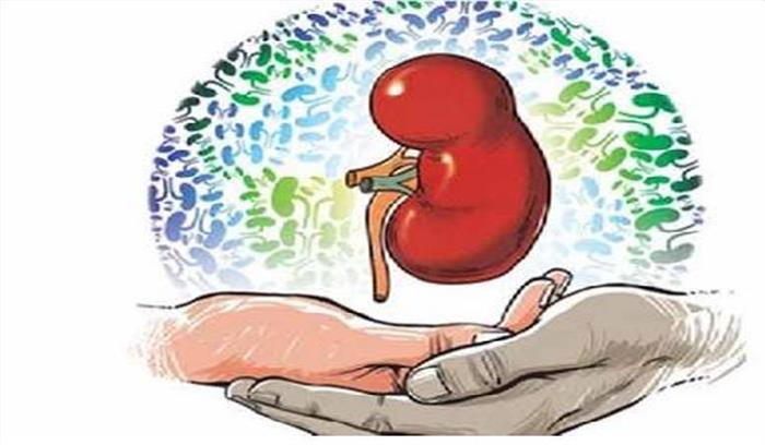 किडनी दान कर एक दूसरे के पति की जान बचाई