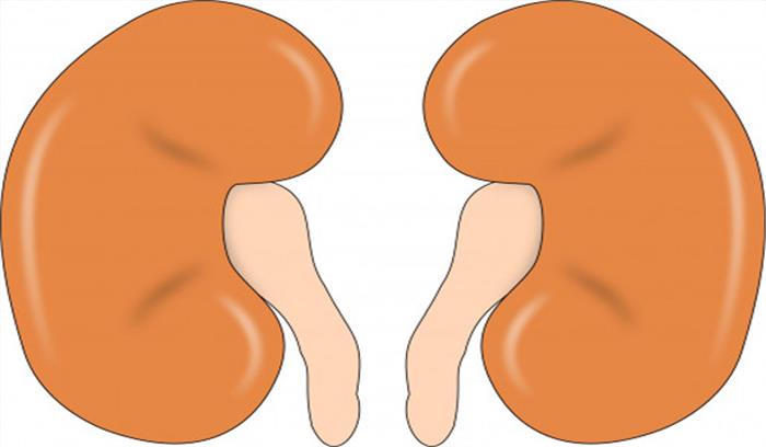 गुर्दा रोग के मरीजों को कोरोना से ज्यादा खतरा : शोध