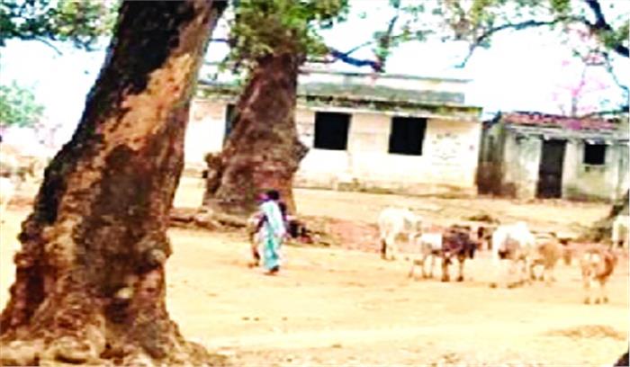 स्कूलों में किचन शेड के नाम पर करोड़ों की गड़बड़ी