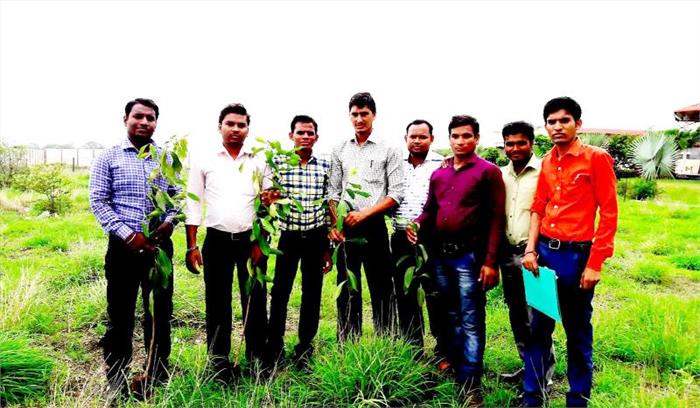 काईट महाविद्यालय में चला वृहद वृक्षारोपण अभियान