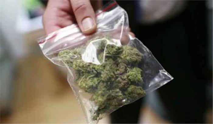 कोलकाता हवाईअड्डे पर 11 किलोग्राम गांजा के साथ 2 गिरफ्तार