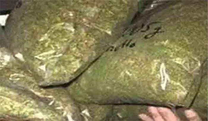 कोलकाता में 20 किलो गांजा बरामद, 2 युवक गिरफ्तार कोलकाता में 20 किलो गांजा बरामद, 2 युवक गिरफ्तार