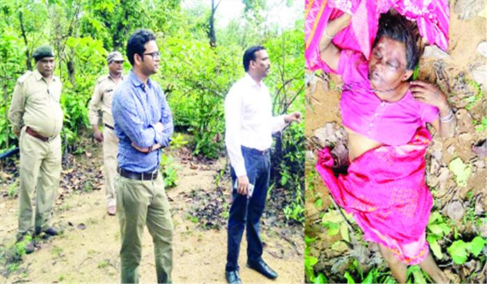 जंगल में लकड़ी बीनने गई वृद्धा को दंतैल ने रौंदा