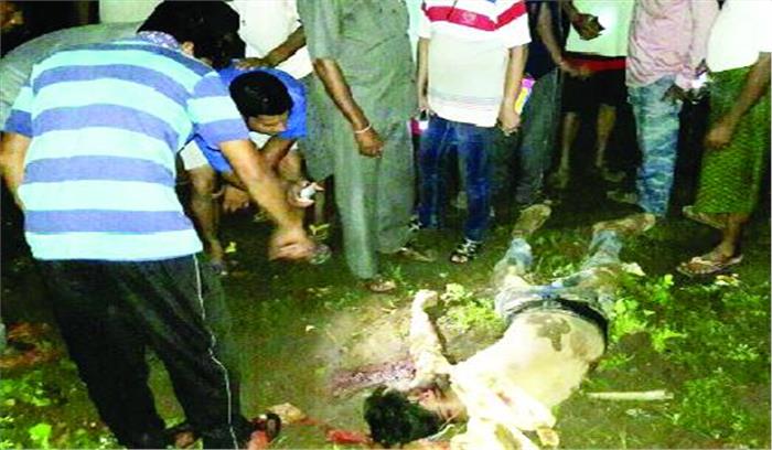 दंतैल ने युवक को कुचलकर मार डाला