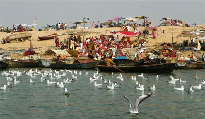 कुंभ मेले में आने वाले श्रद्धालुओं का स्वागत करने के लिए साइबेरियन पक्षी पहुंचे