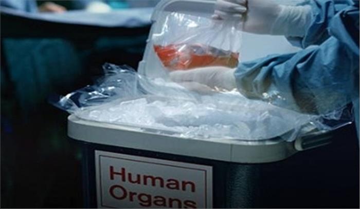 गलत ओर स्थित हैं उप्र के जमालुद्दीन के सभी अंग  