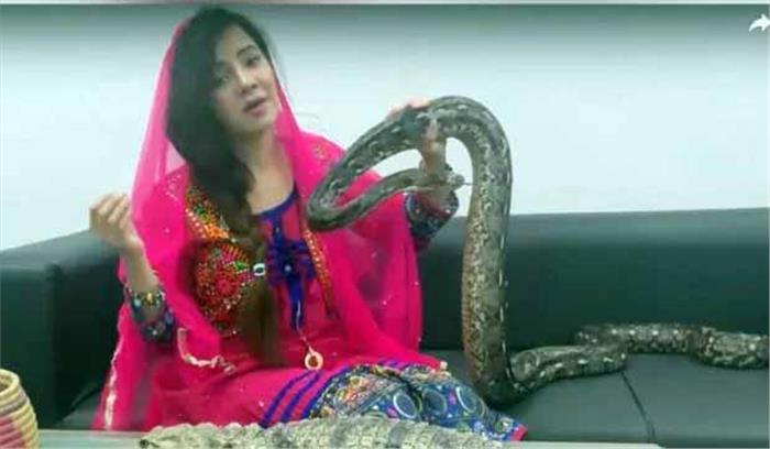 जंगली जानवरों को पालतू बनाने पर गायक पीरजादा के खिलाफ वारंट