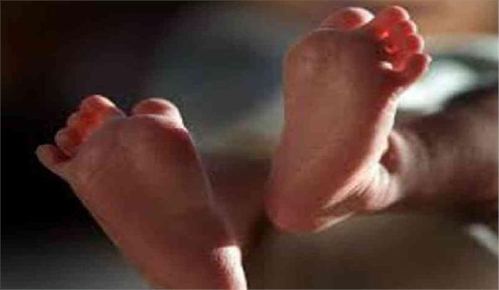 दादी ने की पोते की हत्या दादी ने की पोते की हत्या