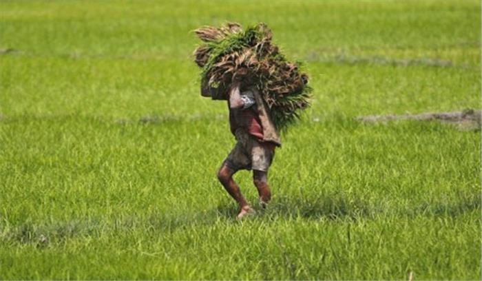 नई लैंडपूलिंग पॉलिसी किसान विरोधी : स्वराज इंडिया