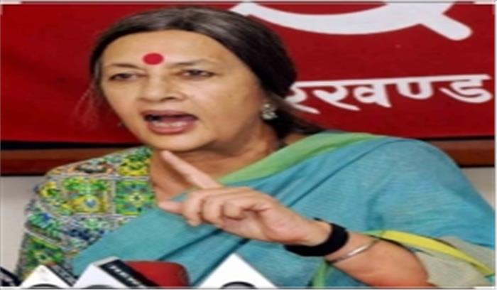 दिल्ली हिंसा मामले में हाईकोर्ट पहुंचीं वृंदा करात दिल्ली हिंसा मामले में हाईकोर्ट पहुंचीं वृंदा करात