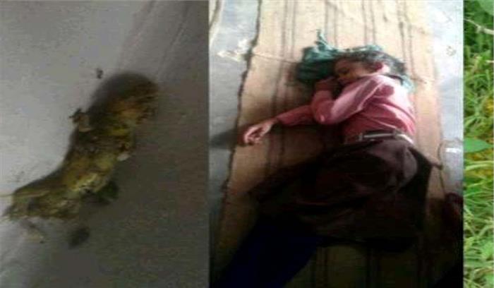 दाल खाने से 107 बच्चे बीमार, गिरी थी छिपकली