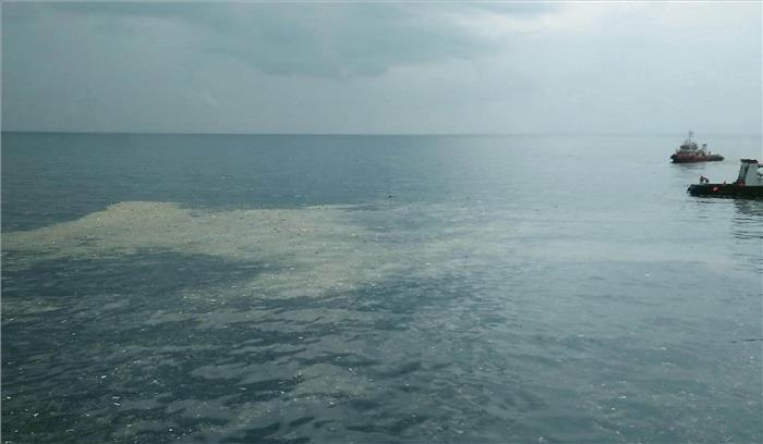 इंडोनेशिया विमान दुर्घटना: भारत का था पायलट, 188 लोगों के मौत की आशंका