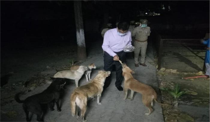 लॉकडाउन यूपी : भूखे लावारिस कुत्तों को डीआईजी ने खाना खिलाया