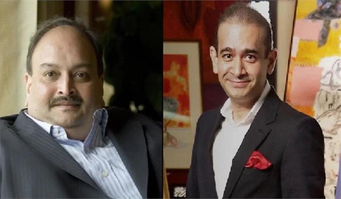 भगोड़े आर्थिक अपराधियों को दंडित करने संबंधी विधेयक में है खामियां: विपक्ष भगोड़े आर्थिक अपराधियों को दंडित करने संबंधी विधेयक में है खामियां: विपक्ष