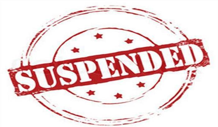 पटवारी की कारगुजारी सुन मौके पर ही किया सस्पेंड