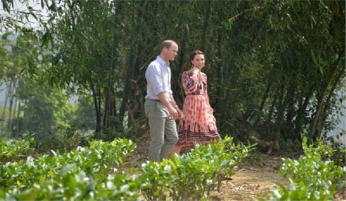 प्रिंस विलियम, केट की पाक यात्रा सबसे जटिल होगी प्रिंस विलियम, केट की पाक यात्रा सबसे जटिल होगी