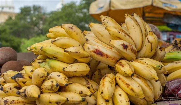 लखनऊ रेलवे स्टेशन पर केले की बिक्री पर लगा प्रतिबंध