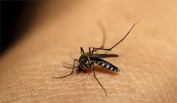 उत्तर प्रदेश में तेजी से फैल रहा है मलेरिया