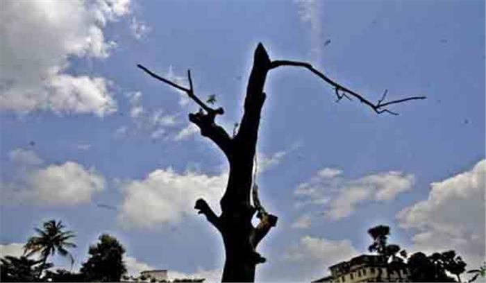 मप्र में  तेज धूप ,कई स्थानों पर लू चलने की संभावना