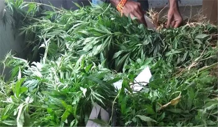 मप्र के बैतूल में लाखों का गांजा बरामद