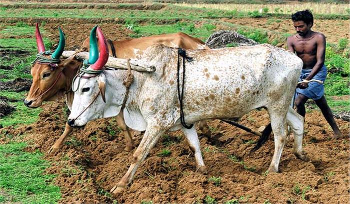 मप्र में किसानों की आय 53 हजार करोड़ से ज्यादा बढ़ी : सरकार मप्र में किसानों की आय 53 हजार करोड़ से ज्यादा बढ़ी : सरकार