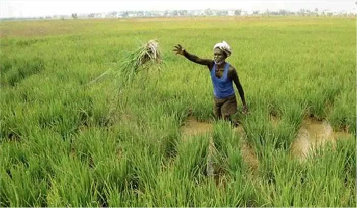 मप्र में किसानों ने नए कृषि कानून के तहत हुई फसल खरीद का भुगतान मांगा