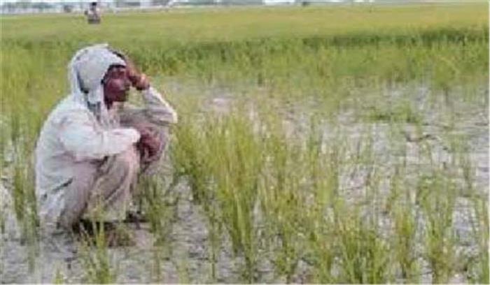 मप्र : 31 जिलों में औसत से कम बारिश