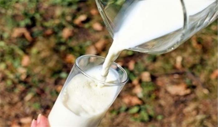 मप्र में दूध का काला कारोबार, 100 नमूनों की जांच मुंबई में होगी