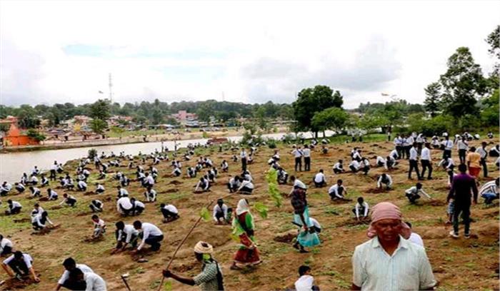 मप्र : नर्मदा किनारे रोपे गए 6 करोड़ों पौधे 