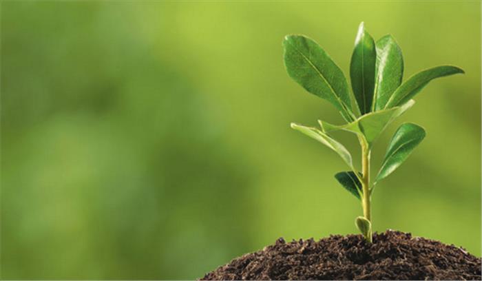 मप्र : कर्मचारियों को मिला10 पौधे लगाने का लक्ष्य