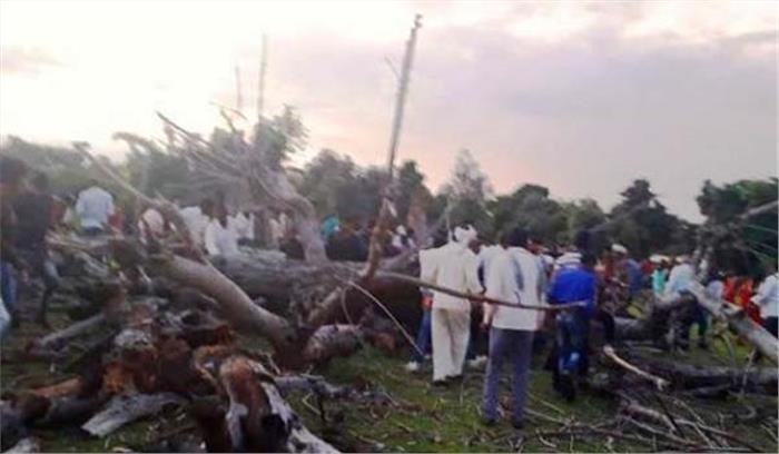 मप्र : पेड़ गिरने से 4 की मौत, आधा दर्जन घायल